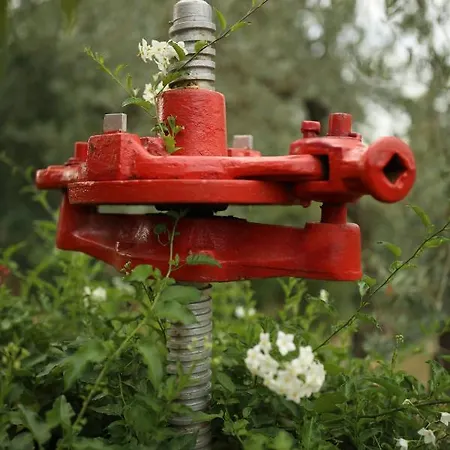לינה וארוחת בוקר La Casa Sulla Collina