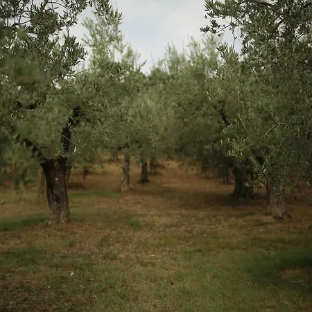 La Casa Sulla Collina