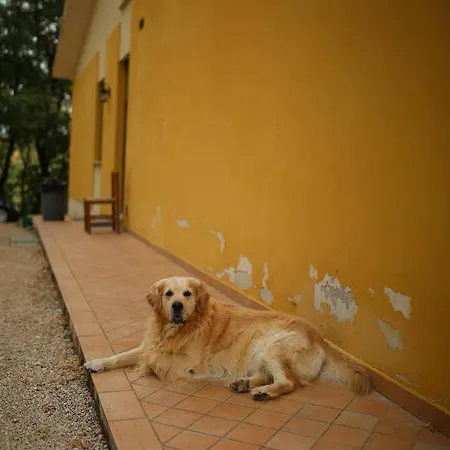 לינה וארוחת בוקר La Casa Sulla Collina פוליניו